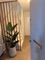 Te huur: Appartement Grote Belt in Hoofddorp, Hoofddorp, Noord-Holland, Appartement