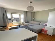 Studio Grote Markt in Groningen, Overige soorten, Groningen
