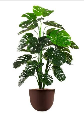 Monstera kunstplant, H130cm, Huis en Inrichting, Ophalen of Verzenden, Overige soorten, 100 tot 150 cm