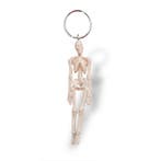 Anatomie model sleutelhanger skelet (9,5 cm), Nieuw