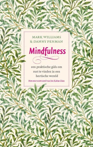Mindfulness - Mark Williams 9789057123412, Boeken, Verzenden, Gelezen, Mark Williams