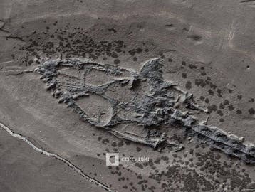 Een fossiel skelet van Keichousaurus van museumkwaliteit met, Verzamelen, Mineralen en Fossielen