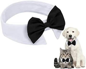 Luxe kattenstrik wit met zwarte, rode of blauwe strik, Dieren en Toebehoren, Verzenden, Nieuw