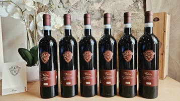 2023 Paolo magi, Vion - Toscane DOC - Fles (0,75 liter), Nieuw