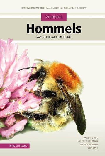9789050118996 Veldgids - Veldgids Hommels, Boeken, Verzenden, Nieuw, Martijn Kos