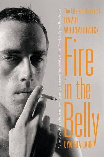 9781608194193 Fire In The Belly Cynthia Carr, Verzenden, Nieuw, Cynthia Carr