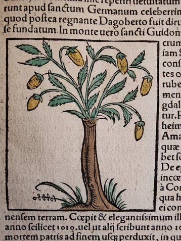 Sebastian Münster (1489–1552) - Cosmographia Universalis -