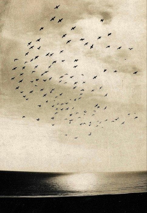 Jorge Omeñaca (1981) - Estratosferico, Antiek en Kunst, Kunst | Designobjecten