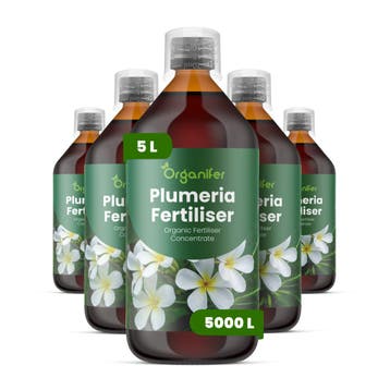 Plumeria Vloeibare Meststof - Set 5x1 liter, Verzenden, Mest