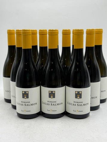 2023 Domaine Lucas Salmon Les Brosses Muscadet - Loire - 12, Nieuw
