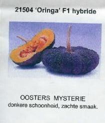 Oringo pompoen zaden, Ophalen of Verzenden, Nieuw