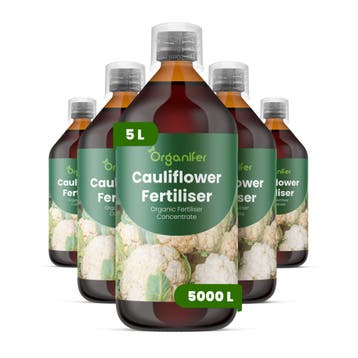 Bloemkool Vloeibare meststof - 5x1 liter, Verzenden, Mest