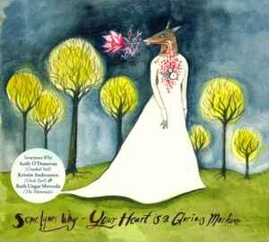 cd - Sometymes Why - Your Heart Is A Glorious Machine, Cd's en Dvd's, Cd's | Country en Western, Zo goed als nieuw, Verzenden