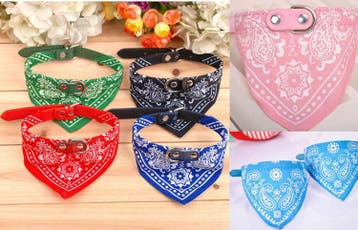 Hond honden en kat katten halsband bandana leer S/M/L/XL *4, Verzenden, Nieuw