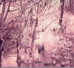 cd digi - Esben And The Witch - Violet Cries, Verzenden, Zo goed als nieuw