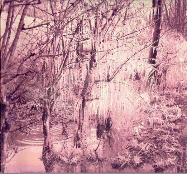 cd digi - Esben And The Witch - Violet Cries, Cd's en Dvd's, Cd's | Rock, Zo goed als nieuw, Verzenden