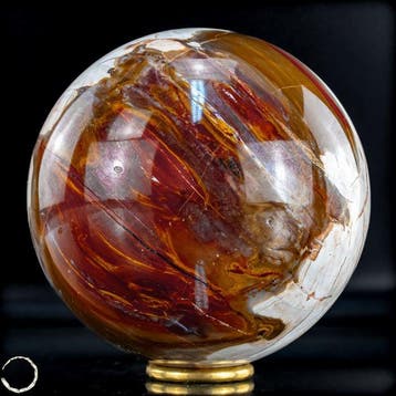 Natuurlijk versteend hout als bol – Intense houtnering in