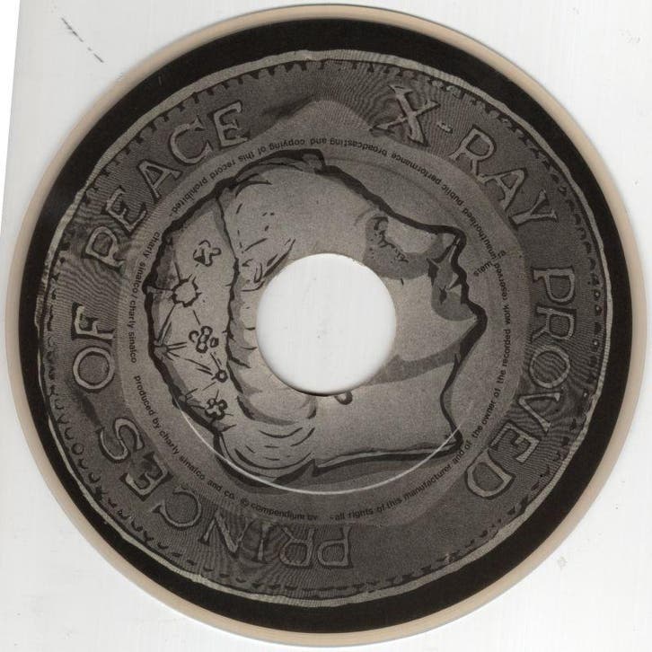 Princes of Peace - X-Ray Proved + Nothing You Got (Vinyl..., Cd's en Dvd's, Vinyl Singles