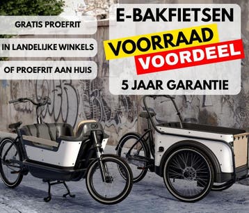 Elektrische bakfiets Royal Cargo bike twee en driewieler RTD, Overige merken, 4 kinderen of meer, Huif, Nieuw