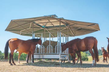 NIEUW!! Hooiruif met groot schaduw-/ klimatiseringsdak 36m2!, Dieren en Toebehoren, Stalling en Weidegang, Weidegang, 4 paarden of pony's of meer