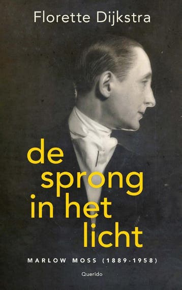 De sprong in het licht - Florette Dijkstra 9789021476773, Boeken, Verzenden, Zo goed als nieuw, Florette Dijkstra