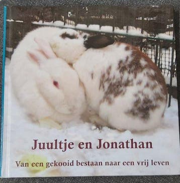 Juultje en Jonathan - Sandra van de Werd 9789081721509, Verzenden, Zo goed als nieuw, Sandra van de Werd