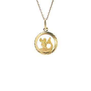 Gouden sterrenbeeld hanger waterman 14 karaat, Verzenden, Zo goed als nieuw, Goud