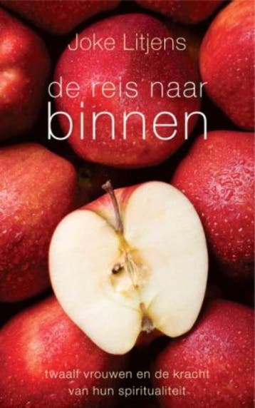 De reis naar binnen - Joke Litjens 9789025961343, Verzenden, Gelezen, Joke Litjens