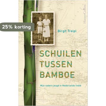 Schuilen tussen bamboe - Birgit Treipl 9789402705638, Boeken, Verzenden, Gelezen, Birgit Treipl
