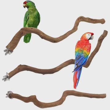 Natuurlijke Vogel Zittak met Klauw slijpfunctie - Ideaal voo