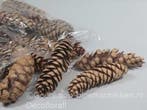 Dennenappel strobus grote naturel 20-25cm per stuk, Ophalen of Verzenden, Nieuw