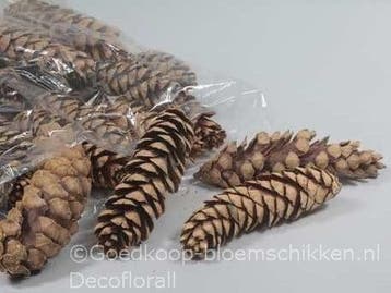 Dennenappel strobus grote naturel 20-25cm per stuk, Ophalen of Verzenden, Nieuw