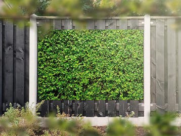 NR 1304: Tuinposter Hedera 120x180cm, Nieuw