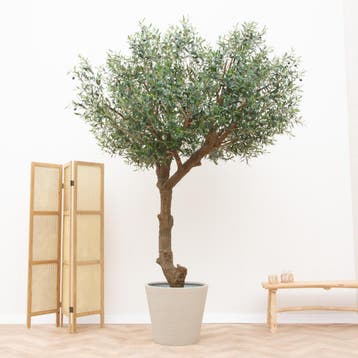 Green Bubble - Kunstplant Olijfboom Giant Y stam - 270cm - Ø, Ophalen of Verzenden, Nieuw, Binnen