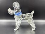 Beeldje - Cane Scottish Terrier - Glas