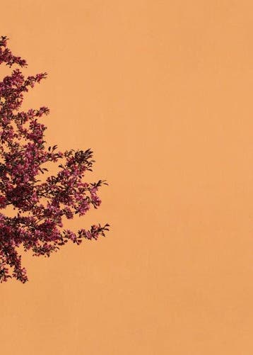Marcus Cederberg - Autumn on the edge