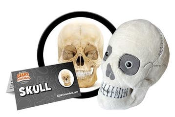 Giant Microbes pluche - Wetenschap biologie Schedel, Nieuw
