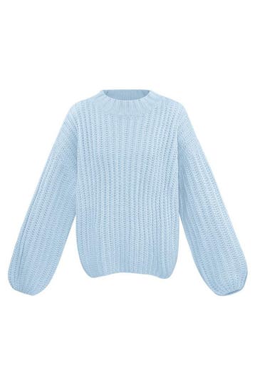 Everyday Classic Trui - Lichtblauw / L/XL, Verzenden, Nieuw