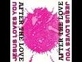 3 inch cds - Jesus Loves You - After The Love, Cd's en Dvd's, Verzenden, Zo goed als nieuw, Pop