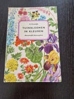 Tuinbloemen in kleuren 9789029049115 Kromdyk, Verzenden, Gelezen, Kromdyk