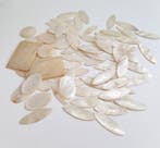 Decoratief ornament (74) - Tellers voor games – Parelmoer -, Antiek en Kunst