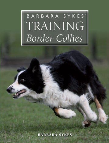 9781847978899 Barbara Sykes Training Border Collies, Verzenden, Nieuw, Barbara Sykes