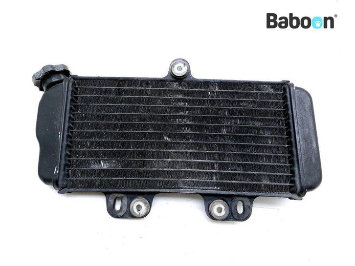 Radiateur Yamaha TDR 125 1993-1996 (4FU 4GW 4GX1-2-3-4), Motoren, Onderdelen | Yamaha, Gebruikt, Verzenden