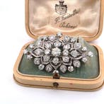 Broche - 18 karaat Witgoud - 5.60ct. tw. Diamant