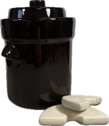 Startpakket fermenteren 2 liter (Bruin-Modern), Verzenden, Nieuw