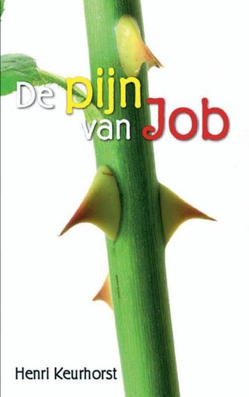 PIJN VAN JOB, DE 9789033629808 H. Keurhorst, Verzenden, Gelezen, H. Keurhorst