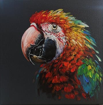Tomasz Bednarski (1965) - Macaw parrot, Antiek en Kunst, Kunst | Schilderijen | Klassiek