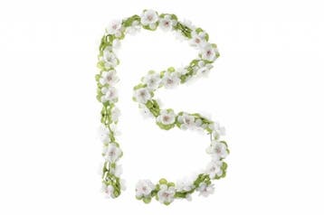 Bloemenstreng Basil Wit, Verzenden, Nieuw