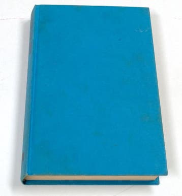 Dagen van het vallend blad - Jones 9789067900409, Boeken, Verzenden, Gelezen, Jones