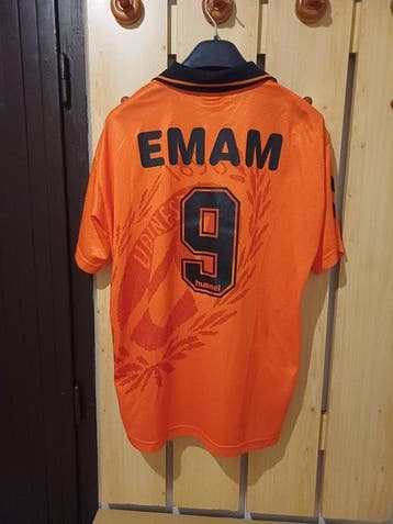 Udinese Calcio - Italiaanse voetbal competitie - Hazem Emam, Nieuw